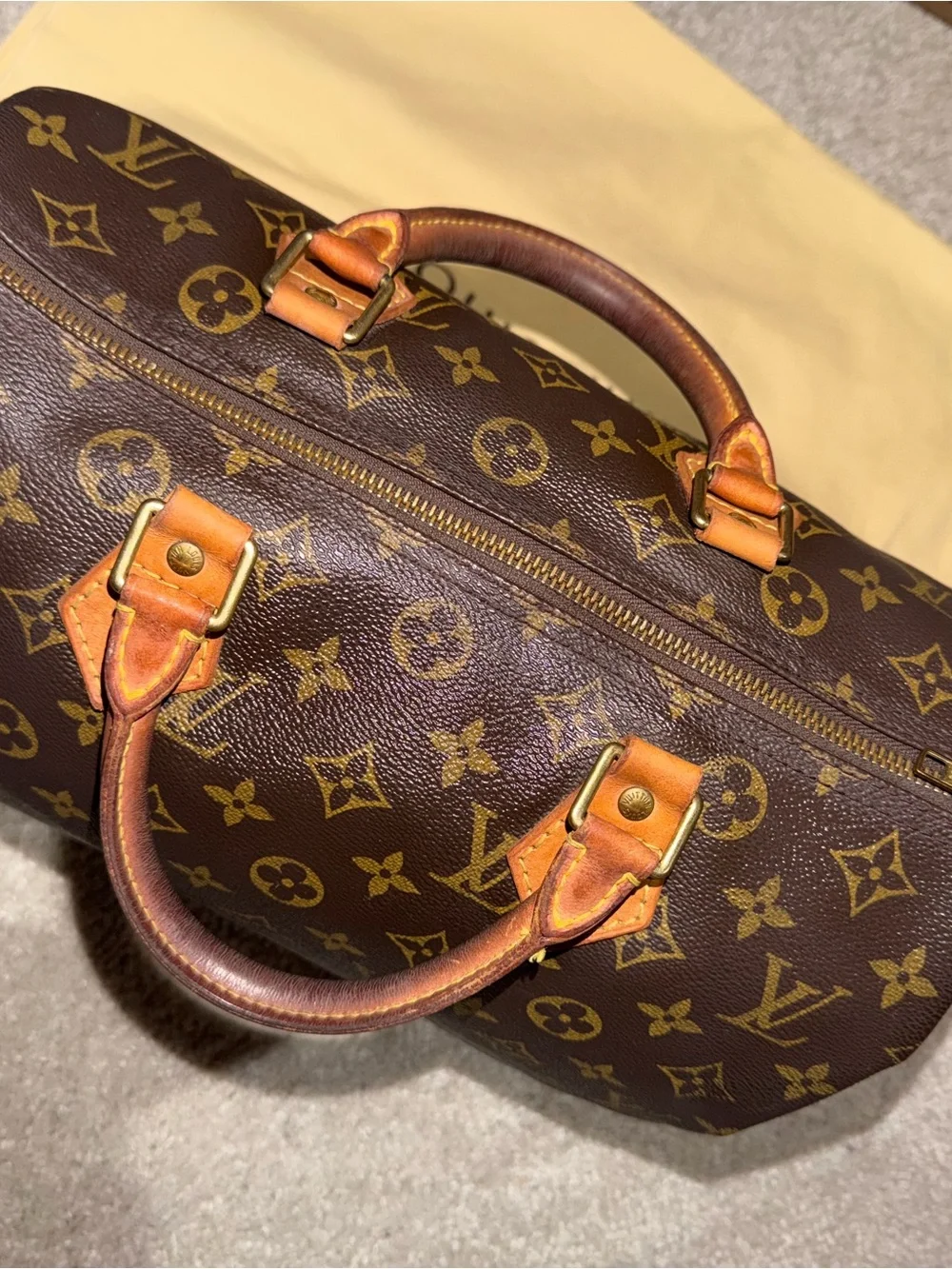 Louis Vuitton Monogram Speedy 30 Handbag in Brown and Tan